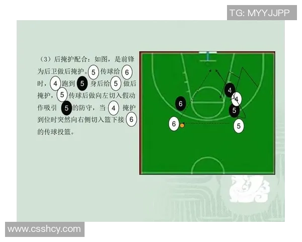 篮球新手必看：全面解析战术基础与实战技巧的入门指南