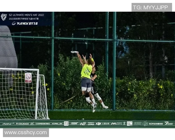 飞盘节奏实力榜单权威发布揭示各队竞技水平与发展潜力