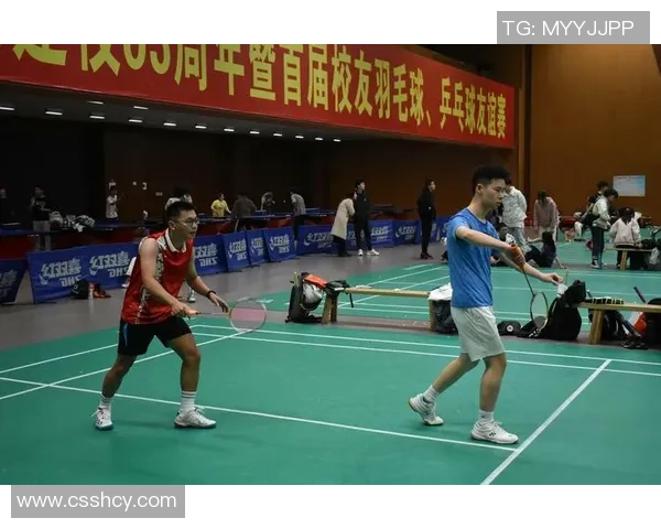 南京羽毛球队战术解析与发展探讨聚焦羽毛球竞技新风潮